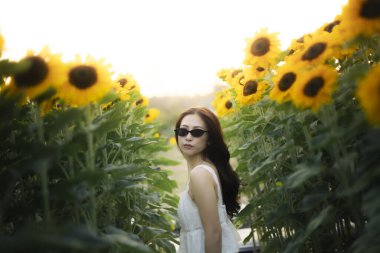Beyaz elbiseli, güneş gözlüklü sakin bir kadın yaz boyunca ayçiçeği tarlasında dikiliyor. Altın güneş doğada parlıyor, sıcak ve huzurlu bir ortam yaratıyor.