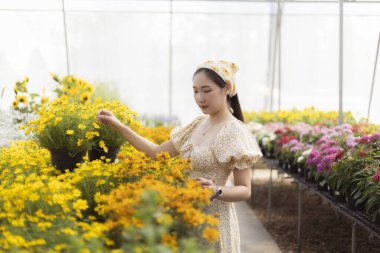 Zarif Asyalı kadın serada sarı çiçeklerle ilgilenerek huzurlu bir anın tadını çıkarıyor. Güzel çocuk bahçesinde renkli bitkilerle ilgilenen genç bahçıvan.
