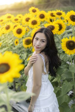 Yazın ayçiçeği tarlasında poz veren beyaz elbiseli güzel mutlu Asyalı kadın. Gün batımında sakin bir ifadeyle doğanın tadını çıkaran genç bir kadının portresi.
