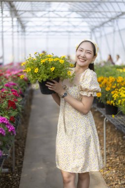 Seranın içinde elinde sarı çiçek saksısı tutan güzel elbiseli mutlu genç Asyalı kadın. Bu neşeli kadın bahçıvan renkli bitkiler alırken gülümsüyor.