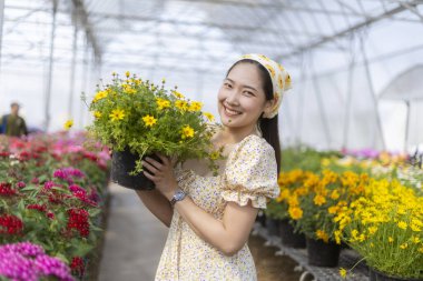 Güzel bir serada gülümseyen sarı çiçek saksısı tutan mutlu genç Asyalı kadın. Neşeli kadın bahçıvan renkli bitkileri seçiyor.