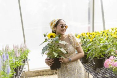 Ayçiçeği çiçeğini parlak seranın içinde tutarken gülümseyen mutlu kadın. Bu eski tarz fotoğraf, yaz bahçıvanlığının ve çiçek seçiminin neşesini yansıtıyor.