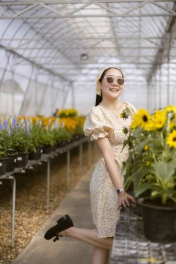 Güzel, mutlu Asyalı kadın güneşli seranın içinde ışıl ışıl gülümsüyor. Çiçek açan ayçiçekleriyle çevrili güzel bir günün tadını çıkarıyor.