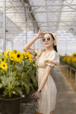 Şık yaz elbiseli ve güneş gözlüklü mutlu Asyalı kadın güneşli seranın içinde ayçiçeğiyle poz veriyor. Güzel manken çiçeklerle ve modayla günün tadını çıkarır.