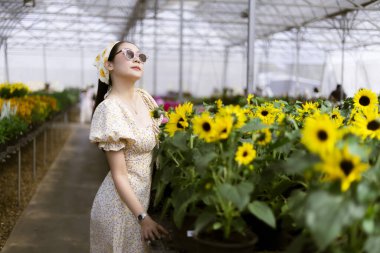 Mutlu güzel Asyalı kadın, sarı ayçiçekleriyle dolu güneşli seraya bakıyor, doğa, bitkiler ve çiçeklerle çevrili huzurlu bir yaz gününün tadını çıkarıyor.