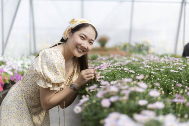 Mutlu gülümseyen Asyalı kadın seranın içindeki güzel çiçek bahçesinin tadını çıkarıyor. Genç yetişkin kendini neşeli ve rahat hissediyor çiçek açan mor çiçekler ve yeşil bitkiler arasında