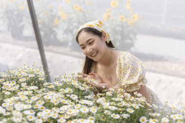 Güzel çiçek bahçesinde gülümseyen mutlu Asyalı kadın. nazik dişi doğanın tadını çıkarıyor ve baharda beyaz papatyaya dokunuyor. Dinginlik ve saf neşe kavramı