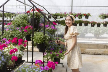 Parlak serada gülümseyen mutlu genç Asyalı kadın. Bu neşeli bahçıvan bitkilerin fidanlığında renkli petunya çiçekleriyle ilgileniyor. Rahatlatıcı bahçıvanlık hobisinin tadını çıkarıyor.