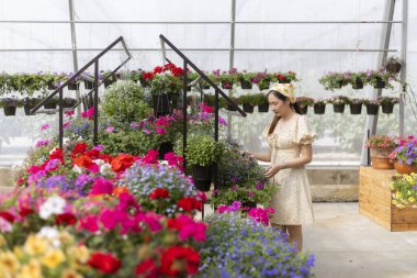 Mutlu Asyalı kadın alışveriş yapıyor ve bitki serasında renkli çiçekleri seçiyor. Evinin bahçesi için fidanlıktan güzel bitkilere bakmayı sever.