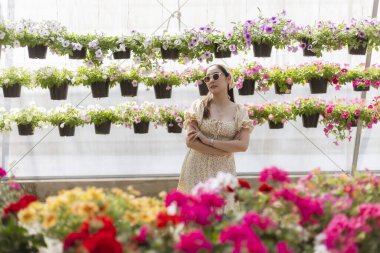 Sakin Asyalı kadın bahçe bitkilerinde renkli çiçek alışverişi yapıyor. Parlak seranın içinde, düşünceli bir şekilde asılmış bitki duvarına bakıyor.
