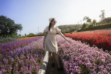 Güzel bir çiçek tarlasında yürüyen mutlu genç Asyalı kadın. Kaygısız kız, güneşli yaz gününde, renkli bahçede doğanın tadını çıkarıyor, mor çiçeklere dokunuyor.