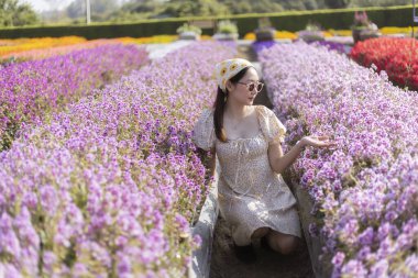 Güzel genç Asyalı kadın mor çiçek tarlasında huzurlu bir anın tadını çıkarıyor. Mutlu dişi güneşli bir günde renkli bahçede oturur, doğa güzelliğine ve floraya hayran kalır.