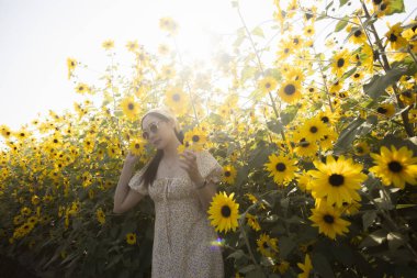 Yazlık elbiseli mutlu kadın doğanın tadını çıkarıyor ve sarı ayçiçeği tarlasında sıcak güneş ışığı alıyor. Serin bir insan, güzel bir çiçeğin arasında dikilir.