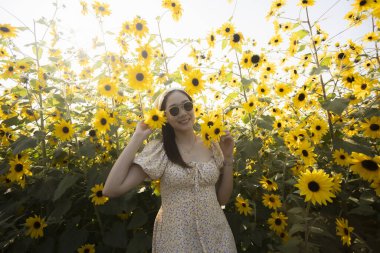 Yazlık elbiseli ve güneş gözlüklü güzel ayçiçeği tarlasında gülümseyen genç bir kadın. Parlak güneş ışığı kırsal alanda mükemmel bir günde mercek patlaması yaratır.