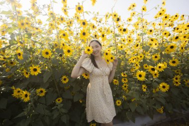 Güneşli yaz gününde, güzel sarı ayçiçeği tarlasında mutlu genç Asyalı kadın. Bu güzel portre onun doğanın tadını çıkardığını gösteriyor. Bahçede özgür ve neşeli hissediyor.