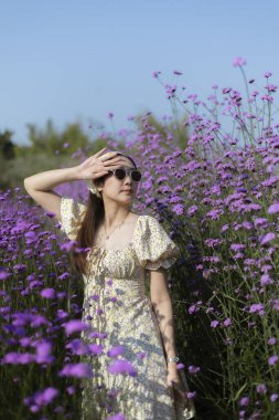 Serene genç Asyalı kadın mor çiçek tarlasında güzel bir yaz gününün tadını çıkarıyor. Güneş ışığı, mutlu yüzünü aydınlatır. Doğanın güzelliklerinin arasında dururken.