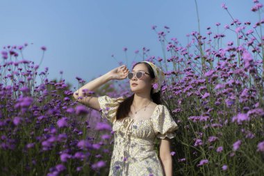 Çiçekli elbiseli ve güneş gözlüklü sakin genç Asyalı kadın güzel mor çiçek tarlasında güneşli yaz gününün tadını çıkarıyor. Doğada mutlu ve mutlu görünüyor.