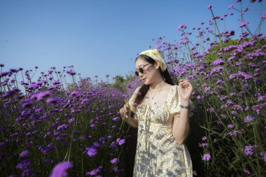 Güzel bir yaz gününde mor verbena çiçek tarlasında duran mutlu Asyalı kadın. Sakin kadın doğa, seyahat, tatil ve yaşam tarzını seviyor.