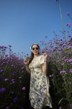 Mor verbena çiçek tarlasında, elbise ve güneş gözlüğü takan mutlu Asyalı kadın poz veriyor. Neşeli kız güneşli bir günde açık mavi gökyüzü altında güzel doğanın tadını çıkarıyor.