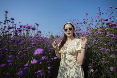 Mutlu güzel Asyalı kadın mor çiçek tarlasında doğanın tadını çıkarıyor. Berrak mavi gökyüzü ile sakin bir yaz sahnesi, güneş gözlüğü ve elbise takıyor, neşeli ve özgür hissediyor.