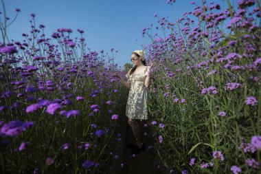 Uçsuz bucaksız mor çiçek tarlasında dikilen zarif, genç Asyalı kadın. Kişi açık mavi gökyüzünün altında güzel bir doğa sahnesinden hoşlanır.