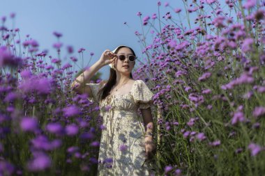 Güzel bir kadın mor çiçek tarlasında dinleniyor. Elbise ve güneş gözlüğü takıyor. Kulaklığıyla müzik dinliyor, doğanın ve huzurlu yaz gününün tadını çıkarıyor.