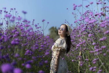 Mor çiçek tarlasında doğanın tadını çıkaran mutlu Asyalı kadın. Moda elbisesi giyen güzel genç bir kadın açık mavi gökyüzünün altında verbena çiçeklerinin arasında duruyor.
