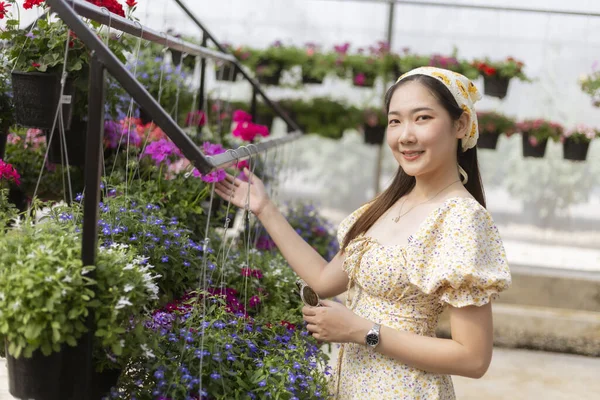 Mutlu gülümseyen Asyalı kadın çiçekçide bahçeyle eğleniyor. Seradaki renkli bitkilere dokunur. Hobisinin neşeli ve güzel bir sahnesidir.