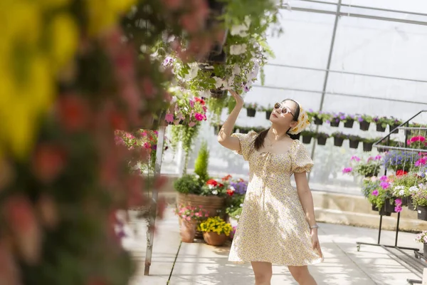 Asılan sepetteki çiçeğe hayran olan mutlu güzel kadın. Doğanın güzelliği ve neşe ile çevrili büyük seranın içindeki bitkiler için hoş bir alışveriş anı.