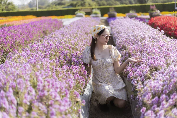 Güzel genç Asyalı kadın mor çiçek tarlasında huzurlu bir anın tadını çıkarıyor. Mutlu dişi güneşli bir günde renkli bahçede oturur, doğa güzelliğine ve floraya hayran kalır.