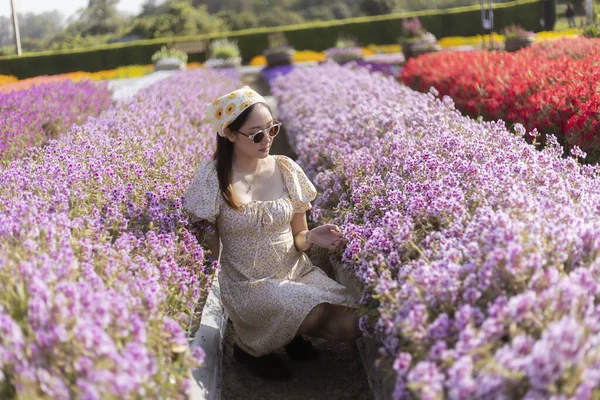 Şapka takan ve güneş gözlüğü takan mutlu Asyalı kadın güzel mor Margaret çiçeklerinin arasında dinleniyor. Genç bir kadın, dingin bir yaz gününde, canlı bir çiçek bahçesinde eğleniyor.