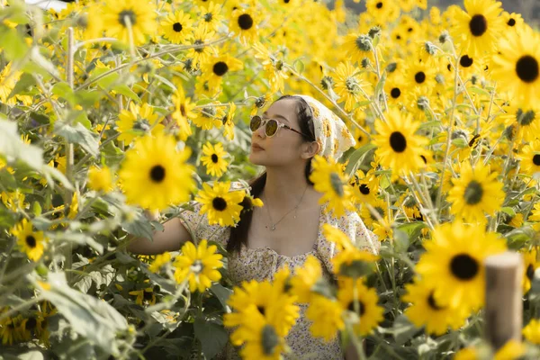 Mutlu güzel kadın sarı ayçiçeği tarlasında doğanın tadını çıkarıyor. Dışarıdaki sakin insan çiçek açan yaz çiçekleriyle çevrili, neşeli ve özgür hissediyor.