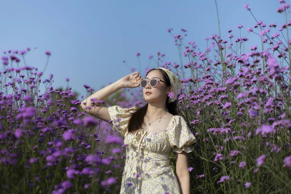 Çiçekli elbiseli ve güneş gözlüklü sakin genç Asyalı kadın güzel mor çiçek tarlasında güneşli yaz gününün tadını çıkarıyor. Doğada mutlu ve mutlu görünüyor.