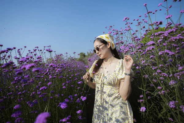 Güzel bir yaz gününde mor verbena çiçek tarlasında duran mutlu Asyalı kadın. Sakin kadın doğa, seyahat, tatil ve yaşam tarzını seviyor.