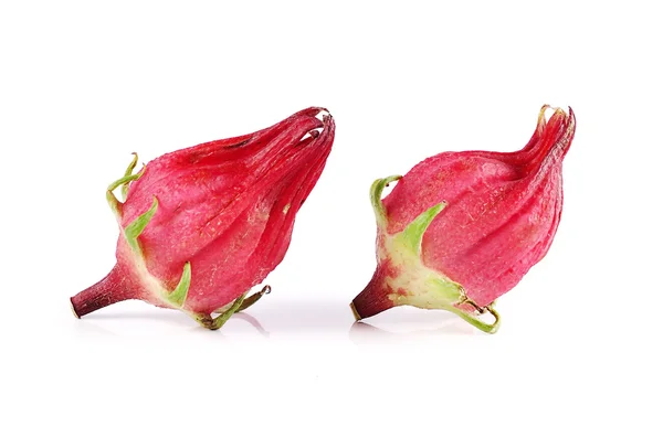 Roselle isolated on white background — Stock Photo, Image