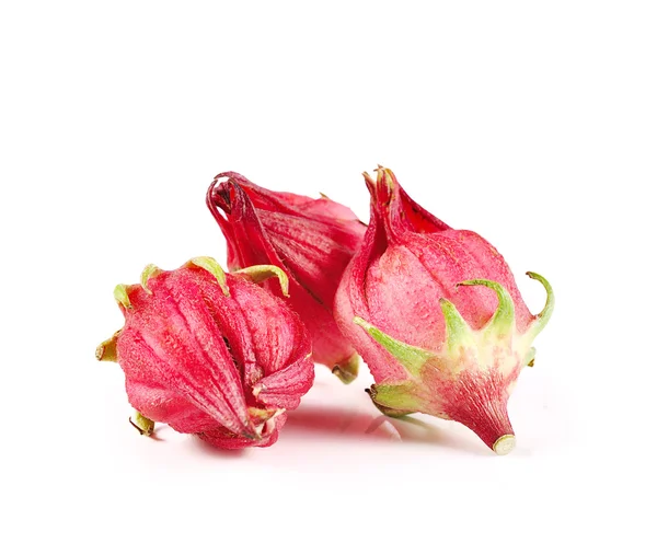 Roselle beyaz arkaplanda izole edildi