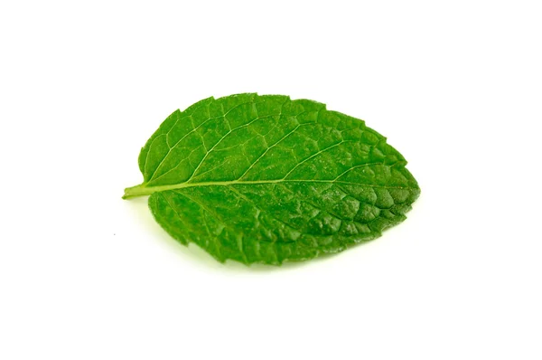 Hoja de menta de cocina aislada en blanco — Foto de Stock