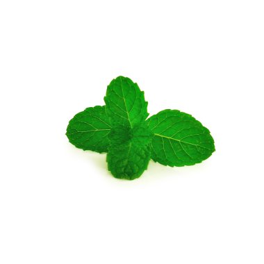 Nane yaprakları beyaz üzerine izole