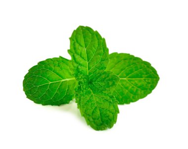 Nane yaprakları beyaz üzerine izole