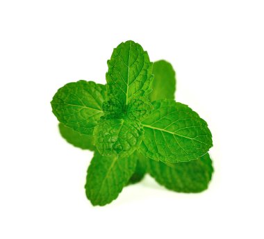 Nane yaprakları beyaz üzerine izole