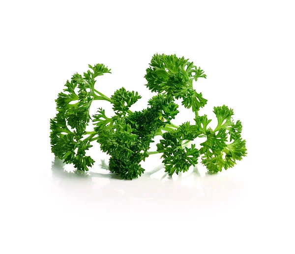 Maydanoz beyaz bir arkaplanda izole