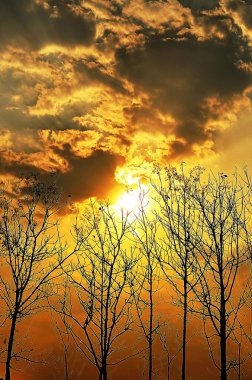 Güzel güneş ışığı doku arka planı için