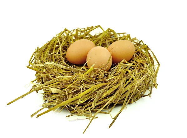 Eieren geïsoleerd op witte achtergrond. — Stockfoto