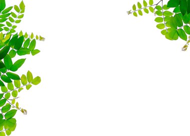 arkaplanda kapanan yapraklar