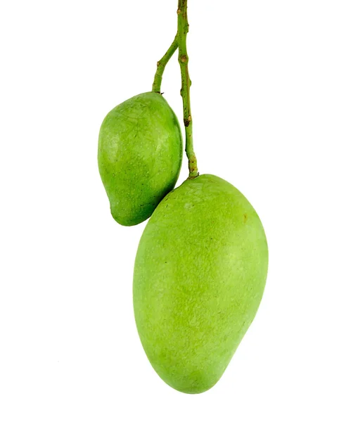Mango zblízka izolované na bílém pozadí — Stock fotografie
