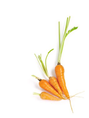 havuç kadar izole üzerinde beyaz arka plan kapatmak