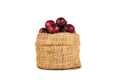 Erik kadar izole üzerinde beyaz arka plan kapatmak