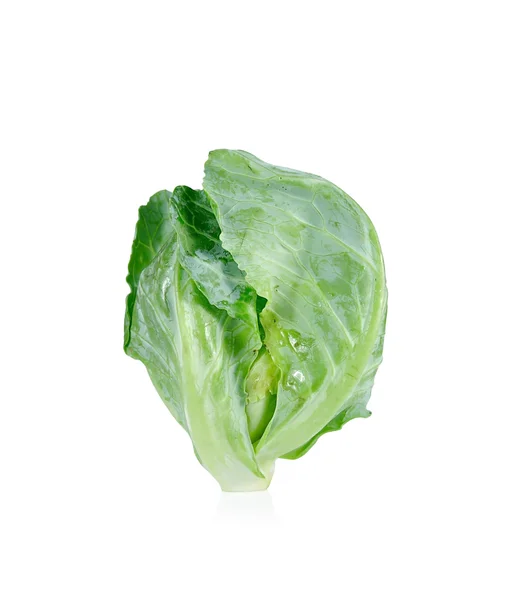 Cabbages close up isolated on white background. — Stock Photo, Image