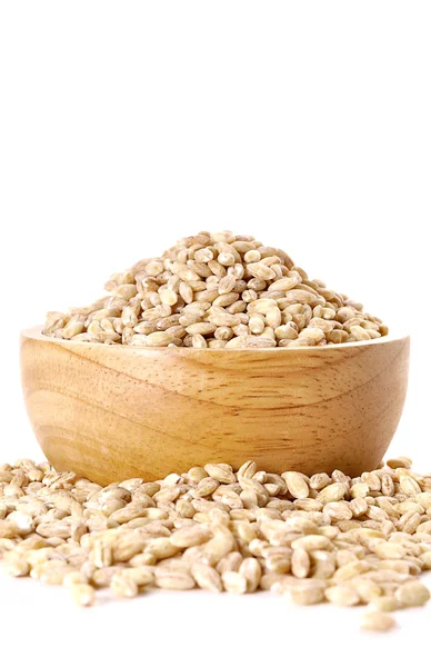 Pearls barley grain seed on background — Stock Photo, Image
