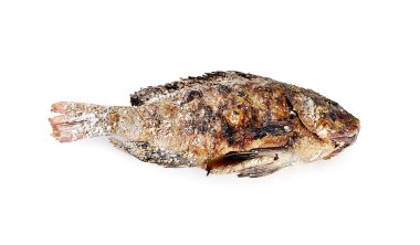 balık ızgara sağlıklı yakından izole